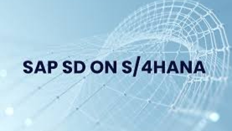 SAP S/4HANA Sales and Distribution (SD) Training Course