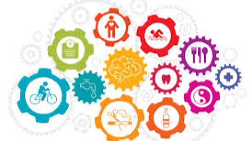 Scoping Reviews and Evidence Mapping Training Course