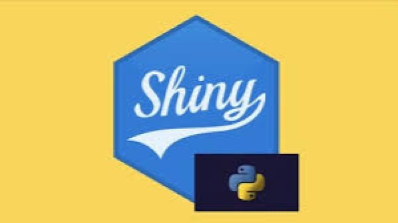 Shiny for R Web Applications Training Course