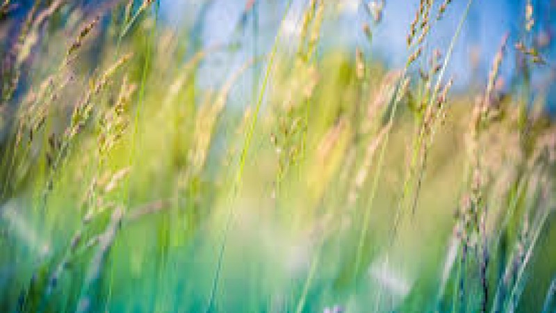 Social Science in Conservation Training Course