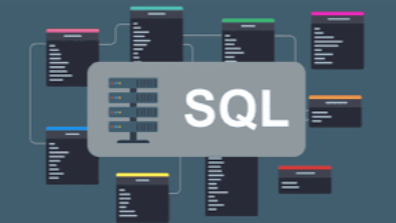 SQL for ERP Data Extraction Training Course