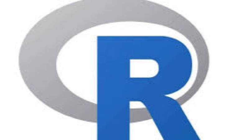 Statistical Analysis with R for Political Scientists Training Course