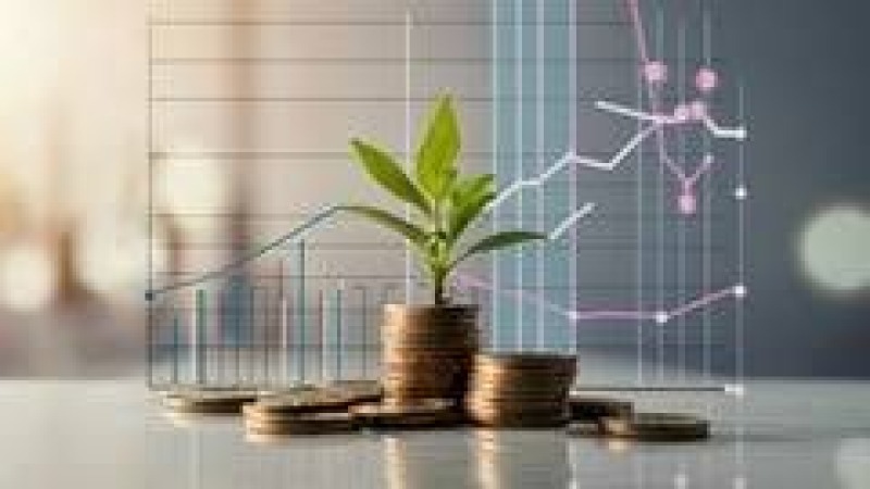 Strategic Portfolio Hedging and Risk Reduction Training Course