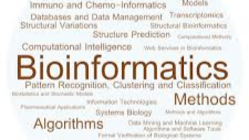 Structural Bioinformatics and Molecular Modeling Training Course