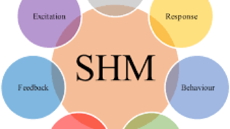 Structural Health Monitoring (SHM) Training Course