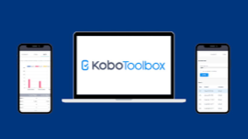 SurveyCTO, KoboToolbox and ODK for Labour Surveys Training Course