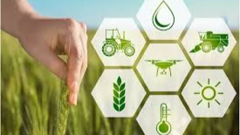 Sustainable Agriculture Training Course