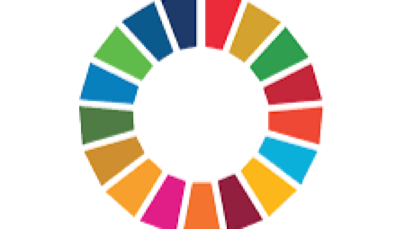 Sustainable Development and Workers' Rights Training Course