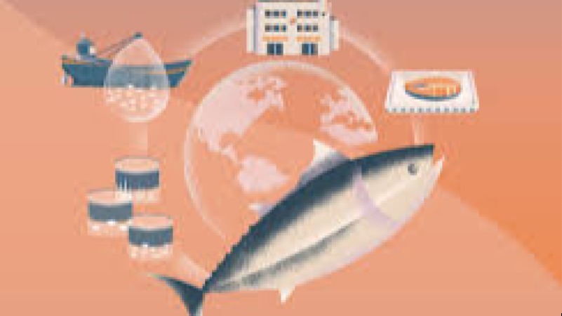 Sustainable Fisheries and Aquaculture Training Course