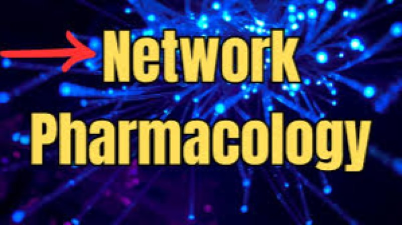 Systems Biology and Network Pharmacology Training Course