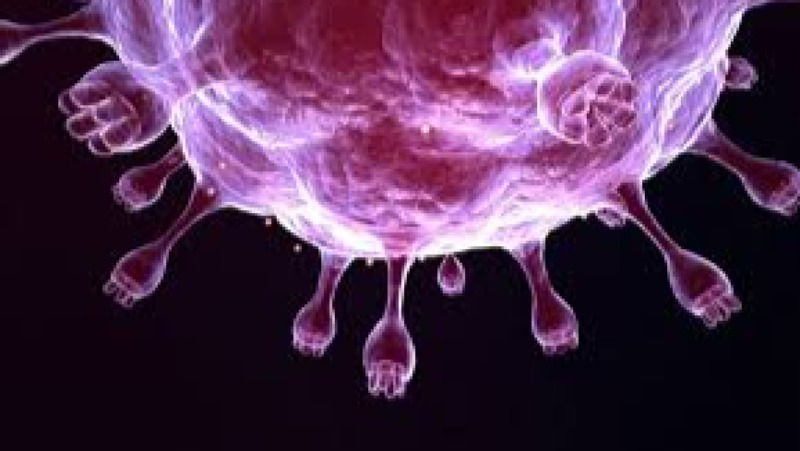 The Advanced Viral Vector Manufacturing for Gene Therapy Training Course