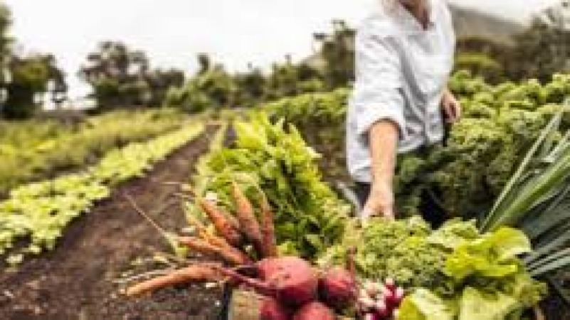 The Economics of Sustainable Agriculture Training Course
