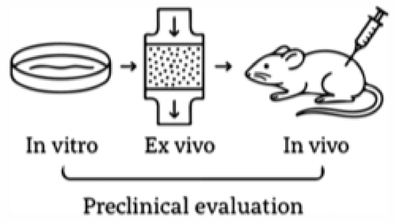 The In Vitro And In Vivo Models For Disease Modeling Training Course
