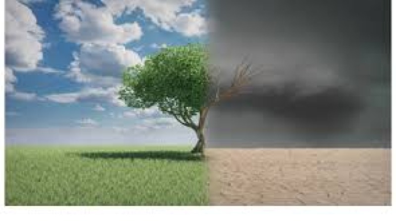 The Politics of Climate Adaptation Training Course