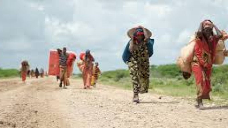 The Politics of Displacement and Forced Migration Training Course