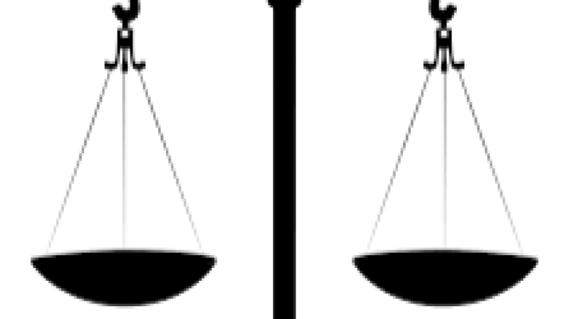 The Politics of Law and Judicial Review Training Course