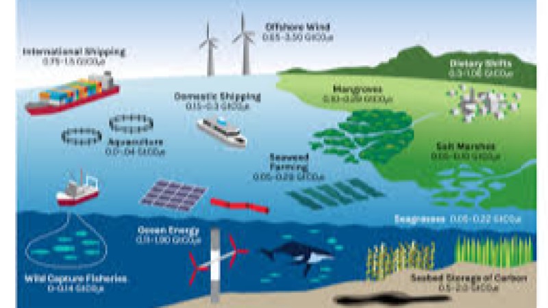 The Role of Oceans in Climate Regulation Training Course