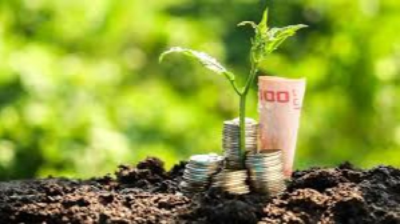 The Role of the Private Sector in Sustainability Training Course