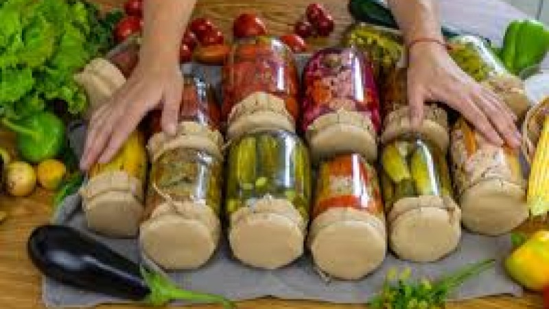 The Science of Natural Preservation Methods Training Course