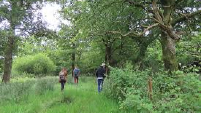 Threatened Species Recovery and Reintroduction Programs Training Course