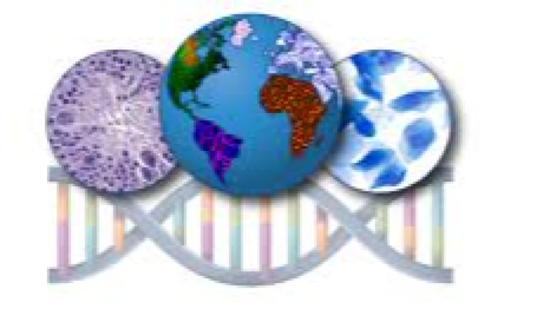 Toxicology in Public Health Training Course