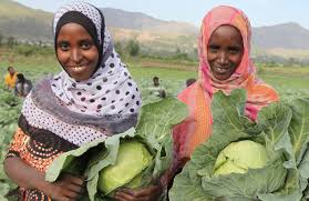 Training Course on Agroecology Principles and Practice for Resilient Farming