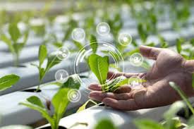 Training Course on Comprehensive Business Planning and Feasibility Studies for Agri-Ventures
