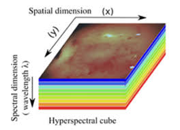 Training Course on Advanced Hyperspectral and Multispectral Image Analysis
