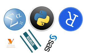 Training course on Advanced Statistical Software for Social Protection Research (Stata, R)