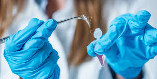 Advanced Trace Evidence Analysis Training Course