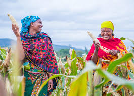 Training Course on Agri-Insurance and Climate Risk Transfer Mechanisms