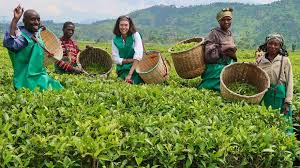 Training Course on Agri-Tourism Development and Management for Rural Economies