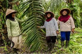 Training Course on Agricultural Biodiversity Conservation and Ecosystem Services