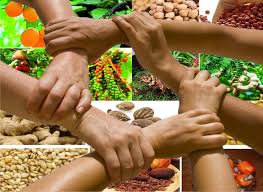 Sustainable Agri-food Systems and Cooperatives Training Course