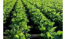 Training Course on Agricultural Leadership Development