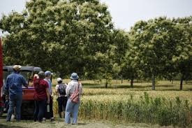 Training Course on Agroforestry Systems Design and Management