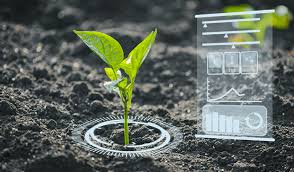 Training Course on AI-Driven Soil Nutrient Mapping and Recommendation Systems