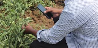 Training Course on AI in Pest and Disease Identification Using Mobile and Drones