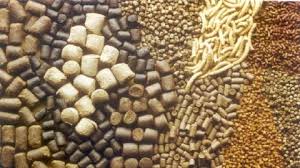 Training Course on Animal Nutrition and Precision Feed Formulation