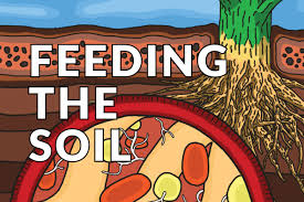 Training Course on Bio-stimulants, Bio-fertilizers, and Biopesticides in Crop Production