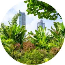 Training Course on Biodiversity and Nature-Positive Business Strategies