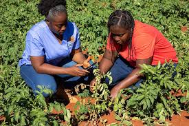 Training Course on Biodiversity-Friendly Pest and Disease Management