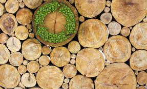 Training course on Biofuels Production and Utilization