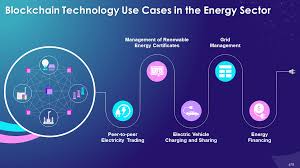 Training Course on Blockchain for Energy Management