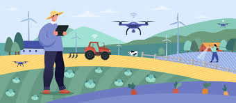 Training Course on Blockchain Technology for Agri-Food Supply Chain Traceability