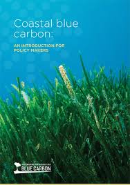Training Course on Blue Carbon