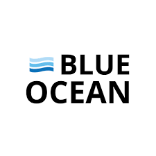 Training Course on Blue Ocean Strategy