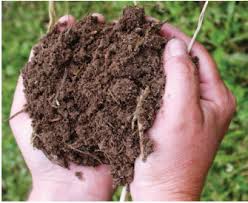 Training Course on Building Soil Organic Matter for Enhanced Productivity