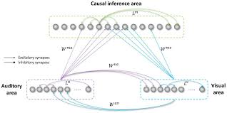 Training Course on Causal Inference in Spatial Data