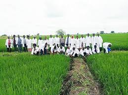Training Course on Certified Seed Production Technology and Quality Assurance